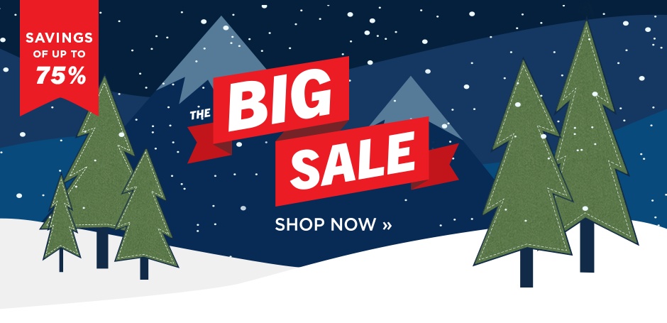 The Big Sale 2019