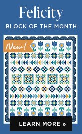 Block of the Month - Felicity