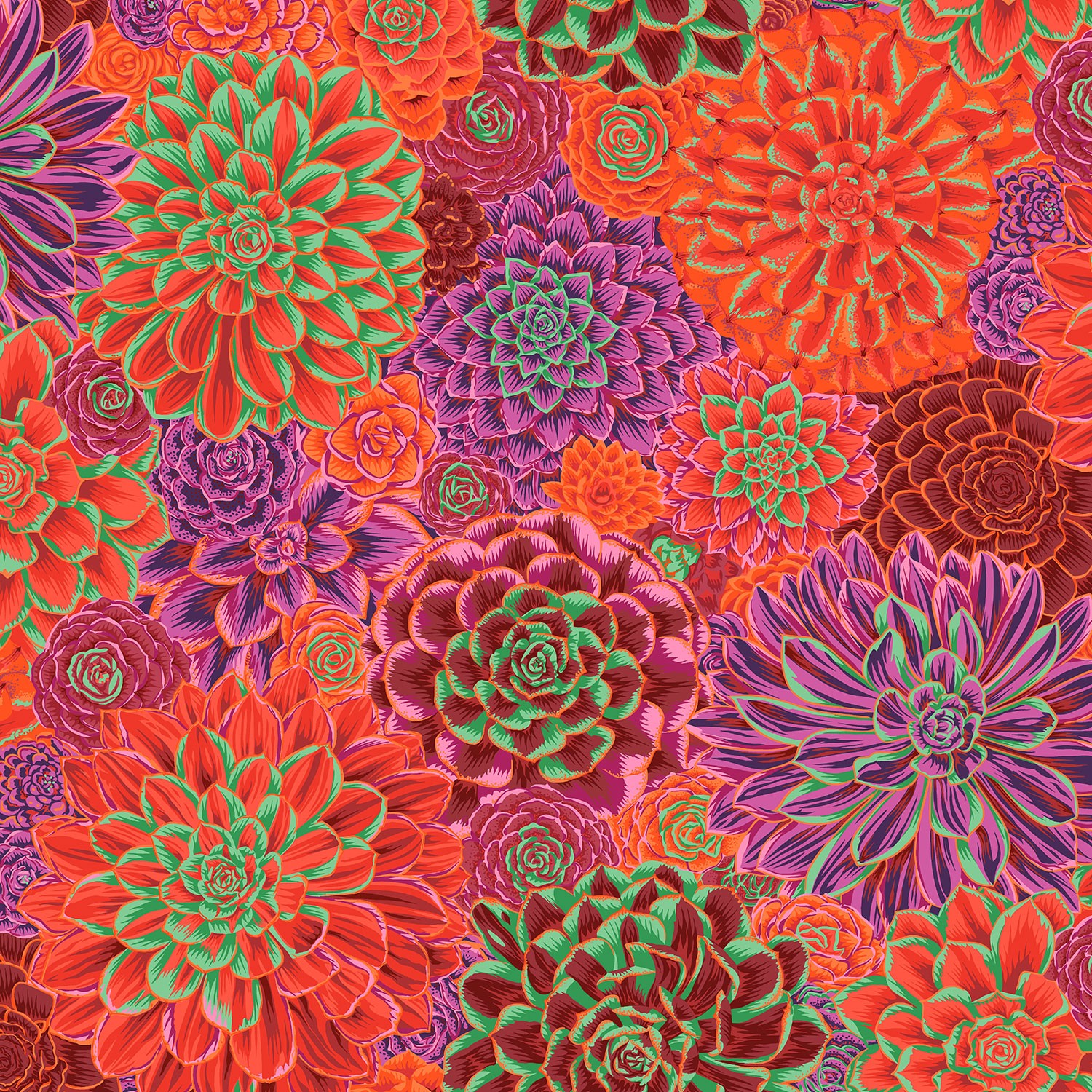 Kaffe Fassett Collective - House Leeks | ConnectingThreads.com