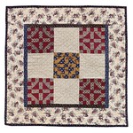 Remembering Adelia: Quilts Inspired by Her Diary: Tracy