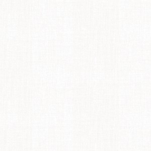 Chambray Tonals Light Ivory Quilting Cotton Fabric Yardage