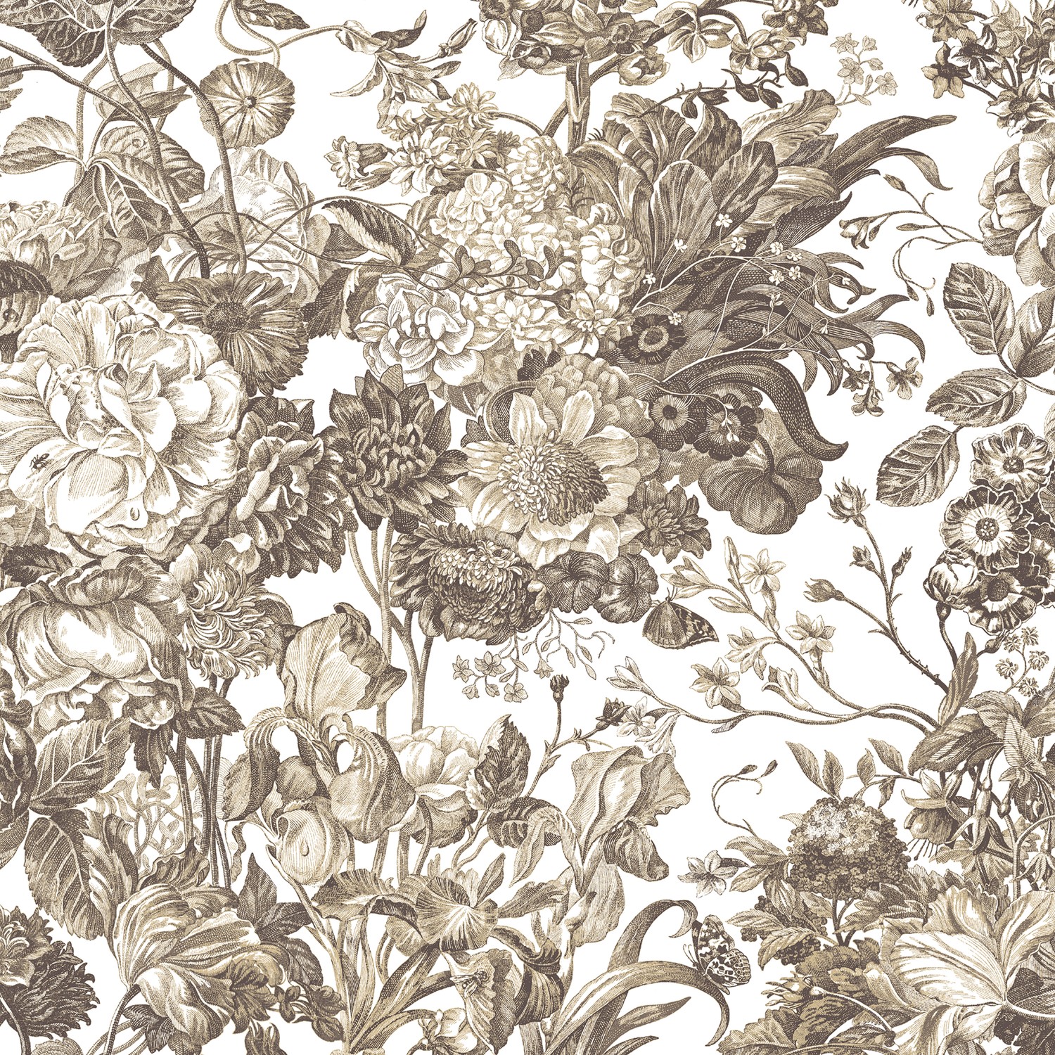 Jardin Naturel - Jardin Naturel Botanical Etchings Light Stone Brown ...