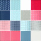 Kit Contents Fabric Swatch